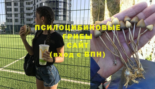 таблы Алексин